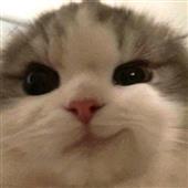 po