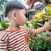 Bầ