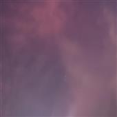 Fi