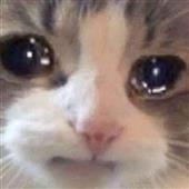 Ng
