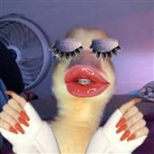 Li