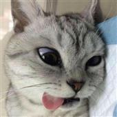 Be