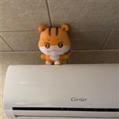 Ng