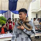 Bu