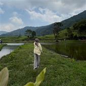 Cờ