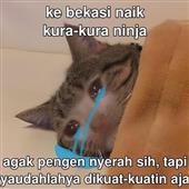 Kế