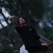 Se