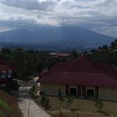 Sự