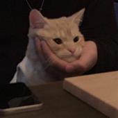 Ch