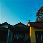 Vò