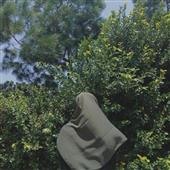 Ch
