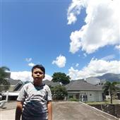Dự