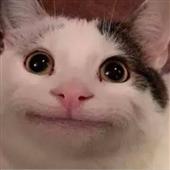 Cu