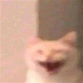 Tô