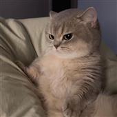 Vũ