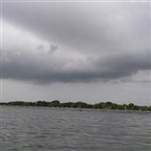 Se