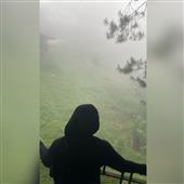 Lị