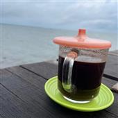 Kỷ