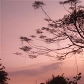 Lị