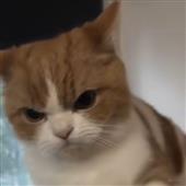 Ba