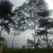 Kỳ