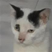 Ch