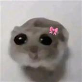 lộ