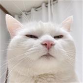 ĐƯ