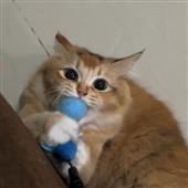 So