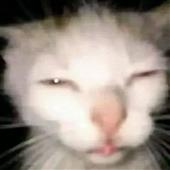 Má