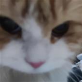 Ca