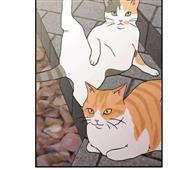 Tạ
