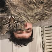 Lu