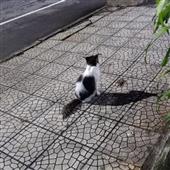 Kh