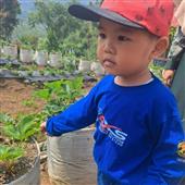 Bắ