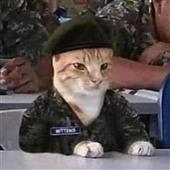 Sâ
