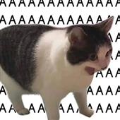 Cá