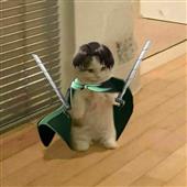 Po