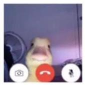 LU