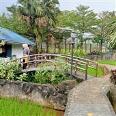 Xế