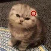 po