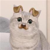 LÔ
