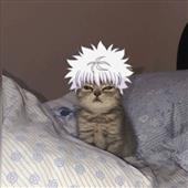 Sò