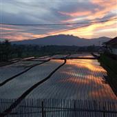 Mắ