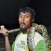 Ap