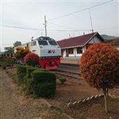 đấ