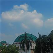 Gậ