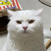 Th