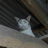 In