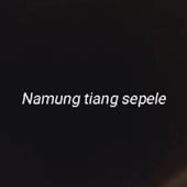Gi